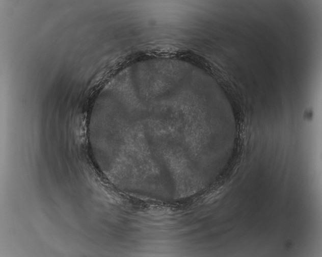 X0000115550818200911271431