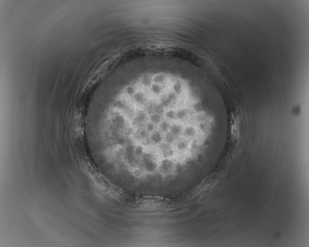 X0000115550819200911271431