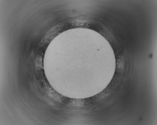 X0000115550820200911271431