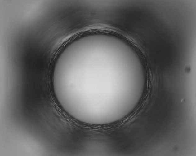 X0000115550822200911271431