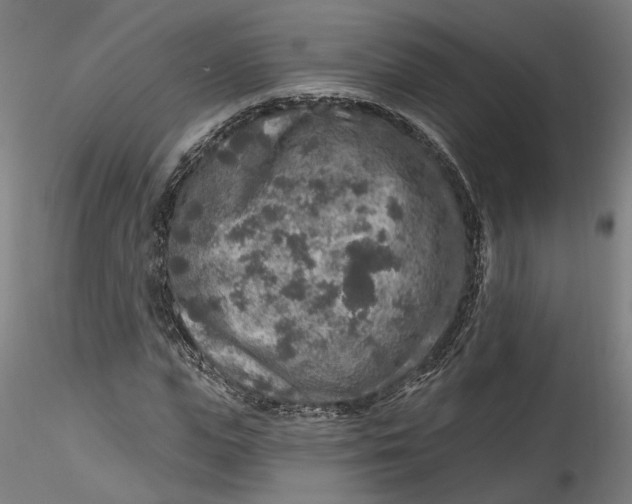 X0000115550823200911271431