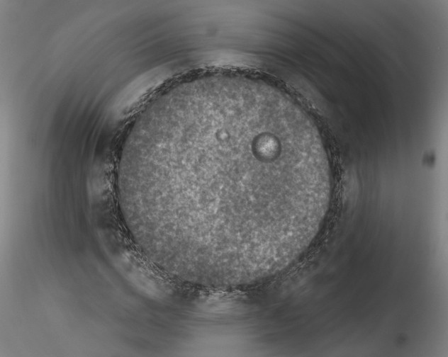 X0000115550824200911271431