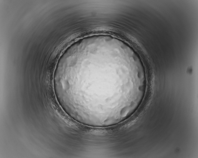 X0000115550825200911271431