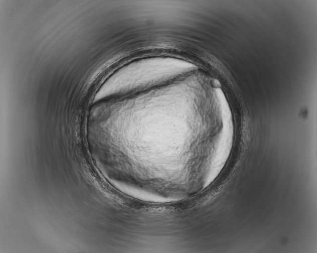 X0000115550826200911271431