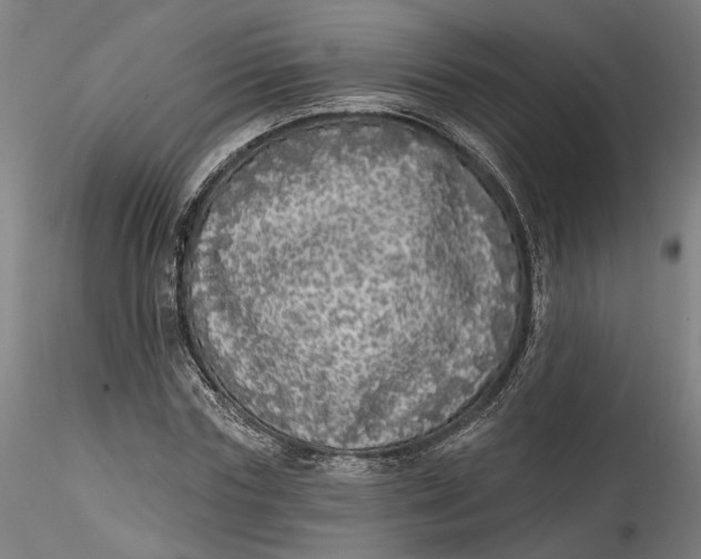 X0000115550827200911271431