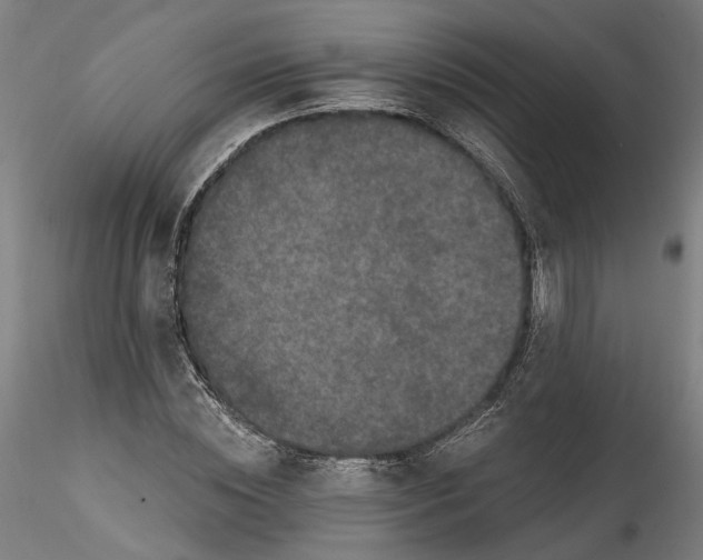 X0000115550828200911271431