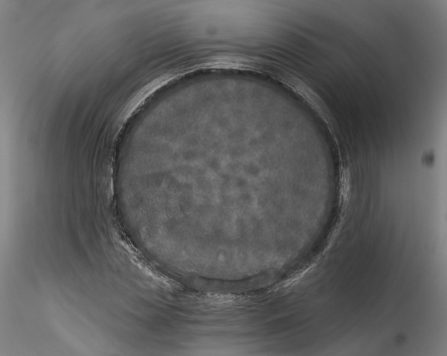 X0000115550829200911271431