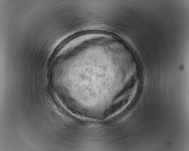 X0000115550830200911271431