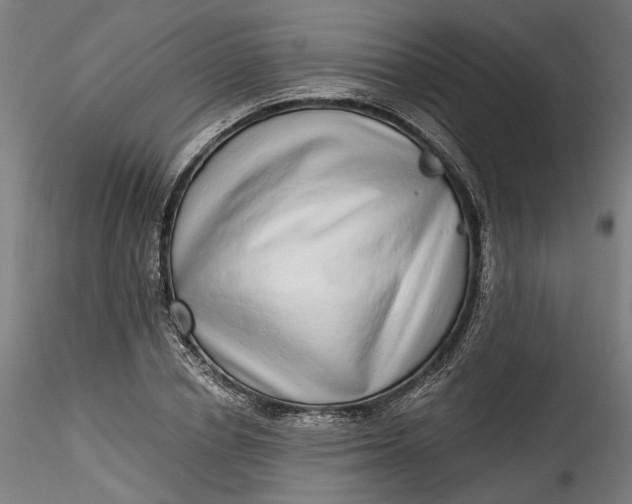 X0000115550834200911271431