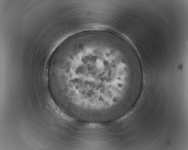 X0000115550835200911271432