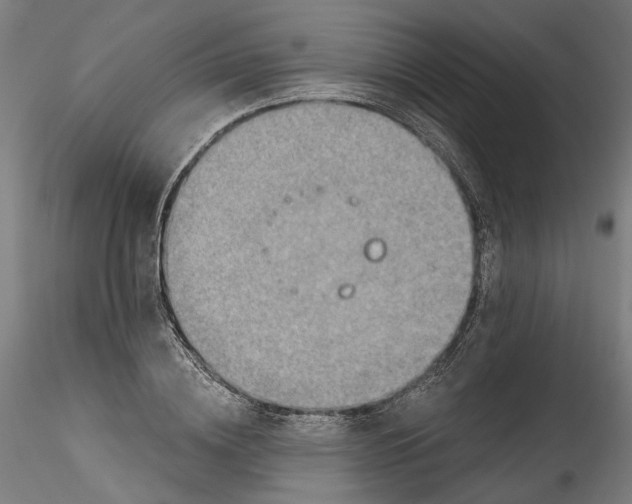 X0000115550836200911271432