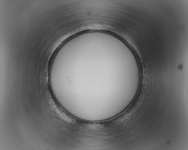 X0000115550837200911271432