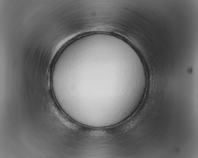 X0000115550838200911271432