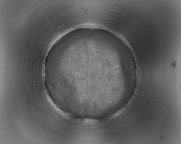 X0000115550839200911271432