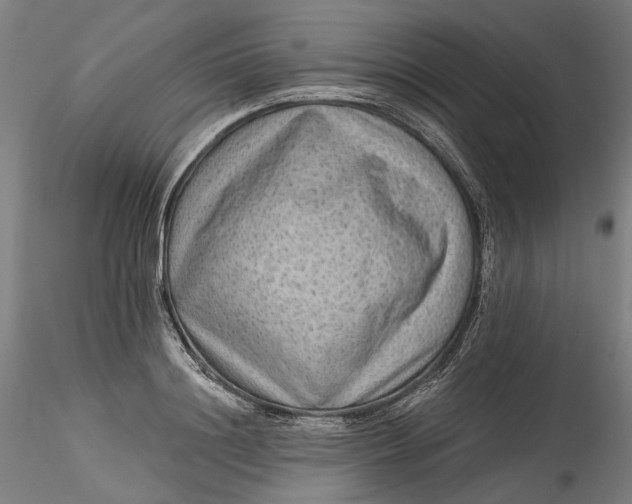 X0000115550844200911271432