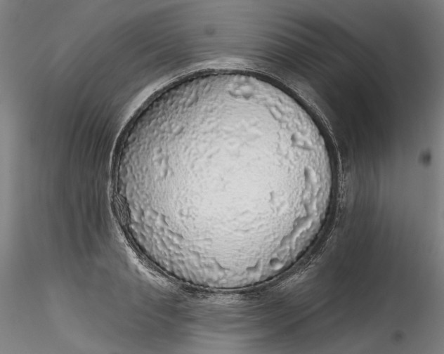 X0000115550845200911271432