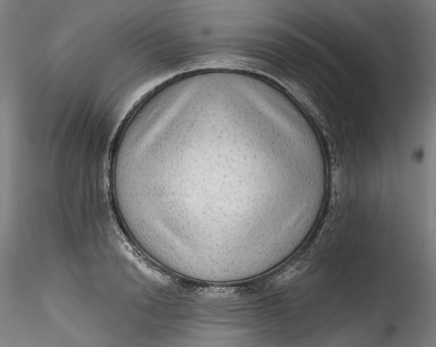 X0000115550846200911271432