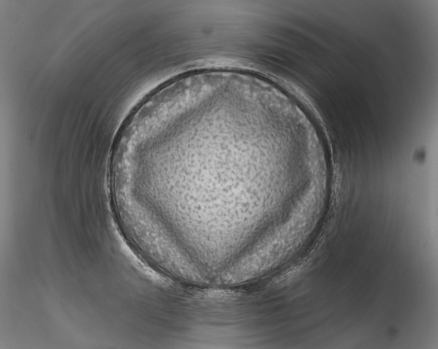 X0000115550847200911271432