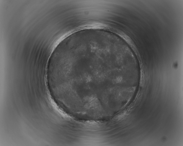 X0000115550850200911271432