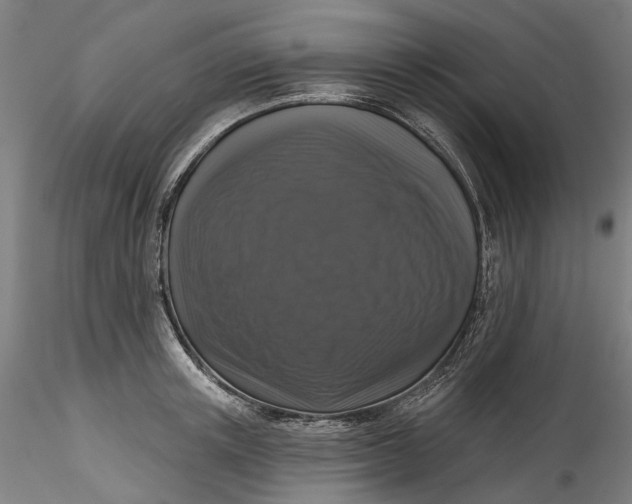 X0000115550851200911271432