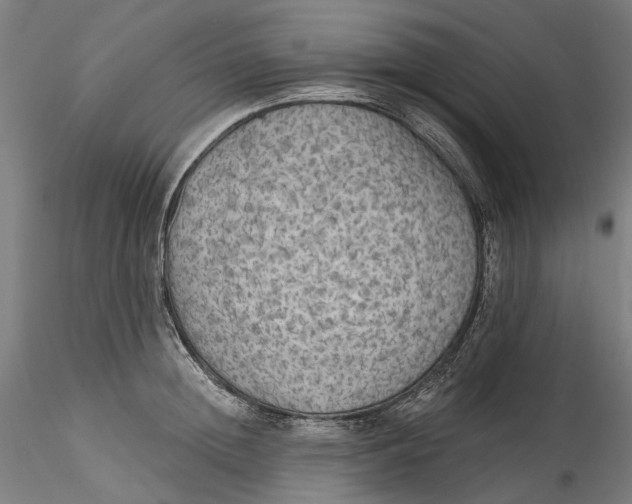 X0000115550852200911271432