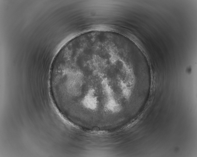 X0000115550853200911271432