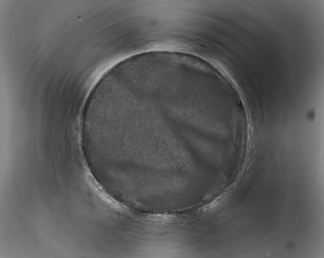 X0000115550854200911271432