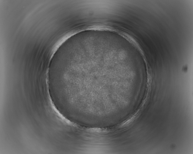 X0000115550855200911271432