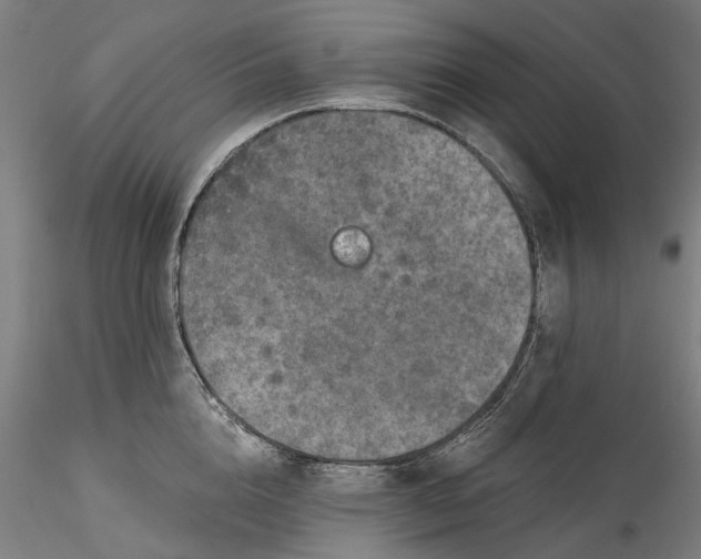 X0000115550856200911271432