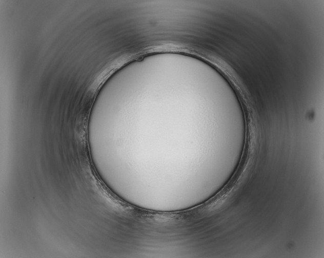 X0000115550857200911271432