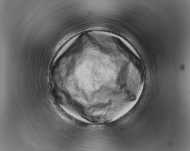 X0000115550858200911271432