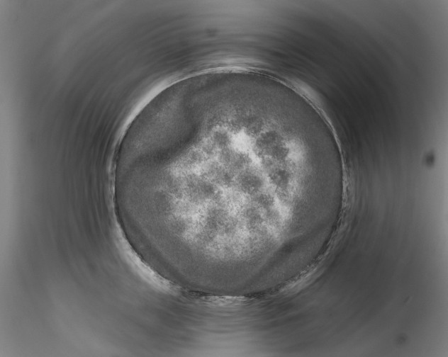 X0000115550859200911271432