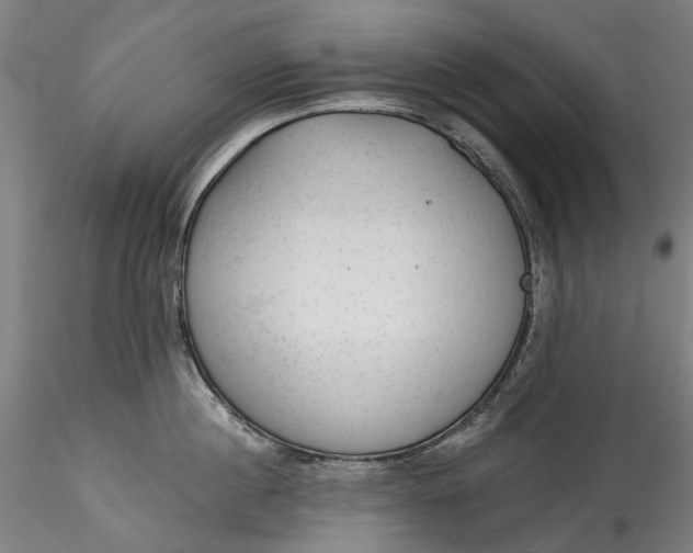 X0000115550860200911271432