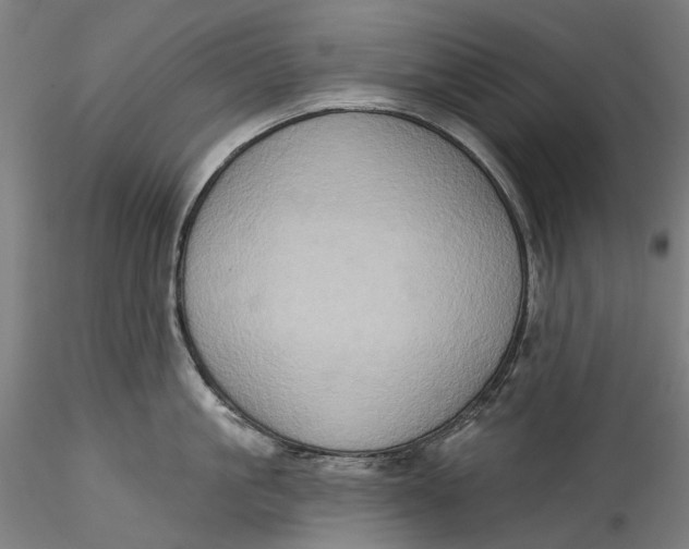 X0000115550861200911271432