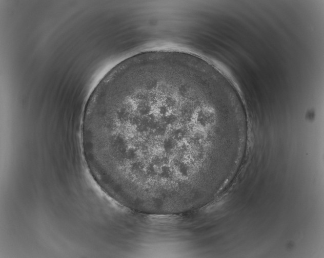 X0000115550863200911271432