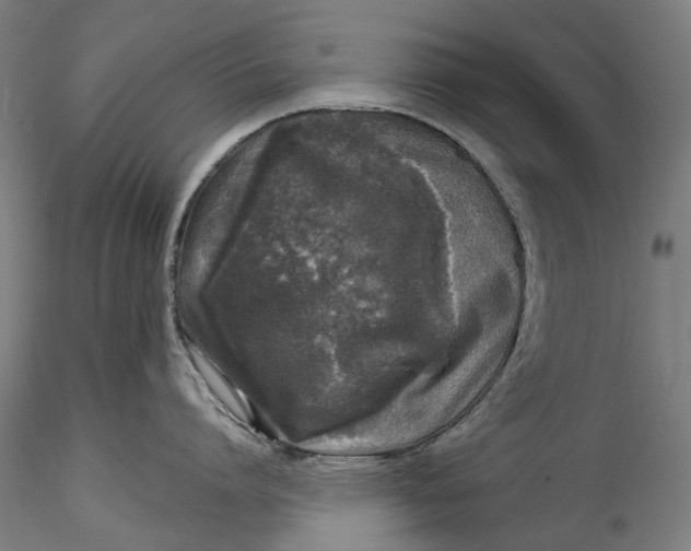 X0000115550864200911271432