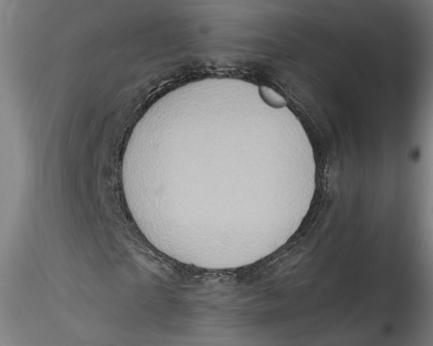 X0000115550865200911271431