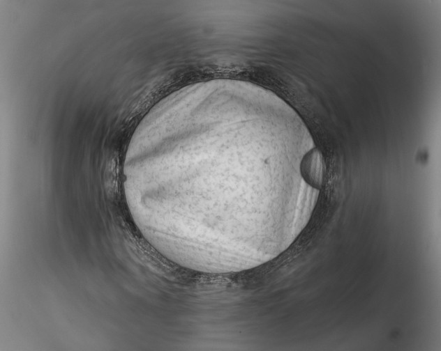 X0000115550866200911271431