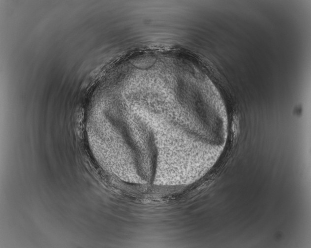 X0000115550867200911271431