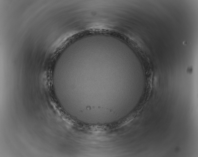 X0000115550870200911271431