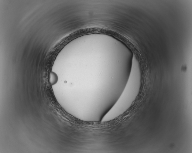 X0000115550872200911271431