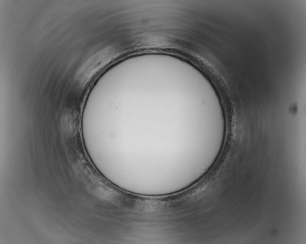 X0000115550873200911271431