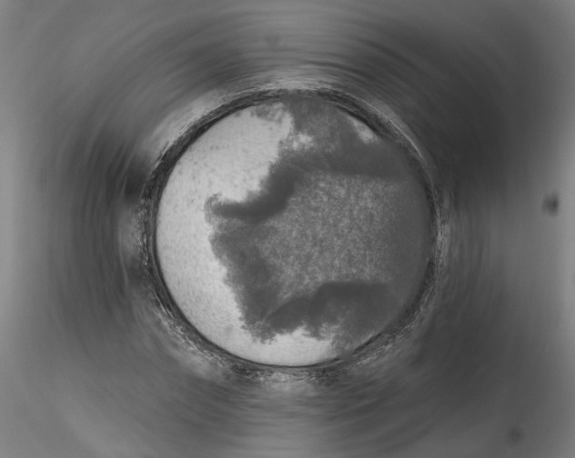 X0000115550874200911271431