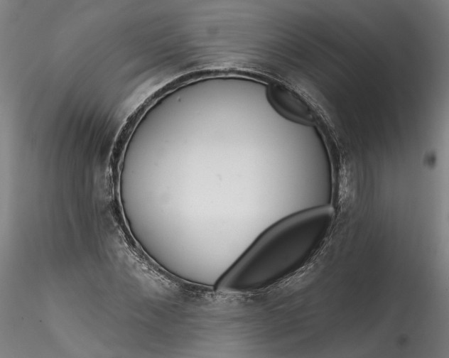 X0000115550876200911271431