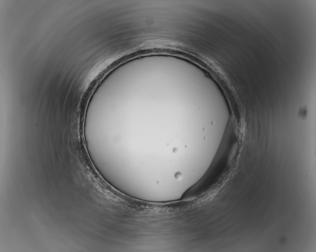 X0000115550877200911271431