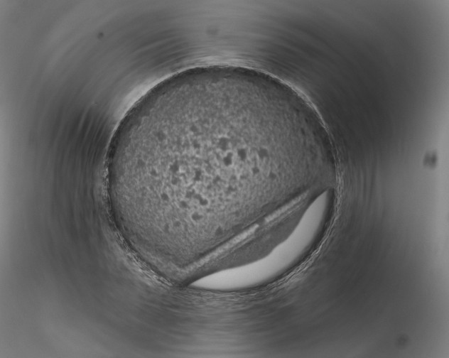 X0000115550879200911271431