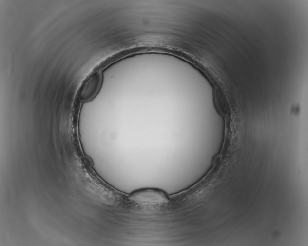 X0000115550880200911271431