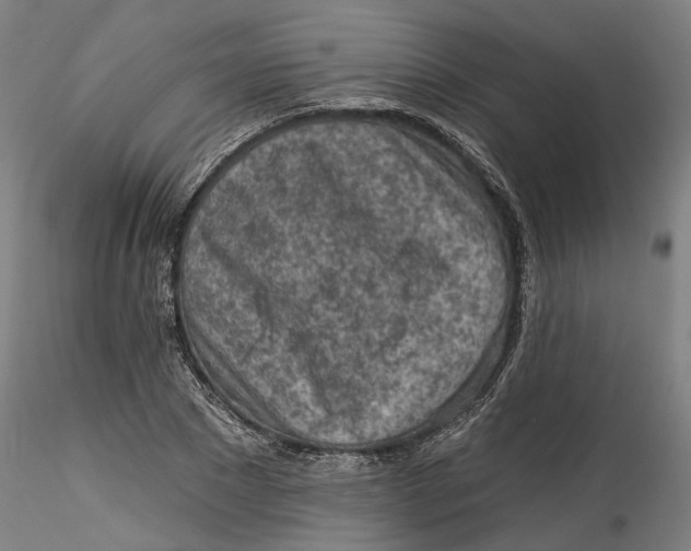 X0000115550881200911271431