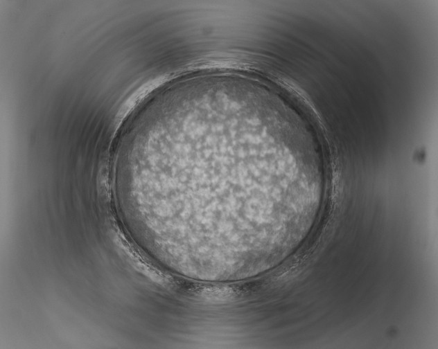 X0000115550882200911271431