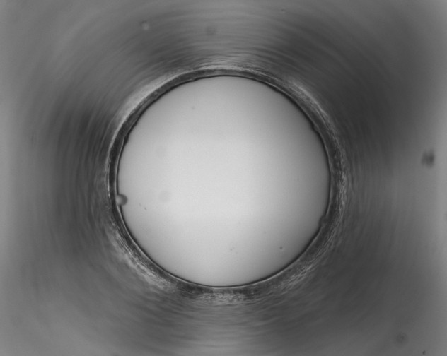 X0000115550884200911271431